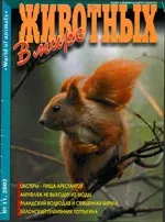 В мире животных (научно-популярный журнал) №11 за 2002
