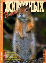 В мире животных (научно-популярный журнал) №7 за 2004